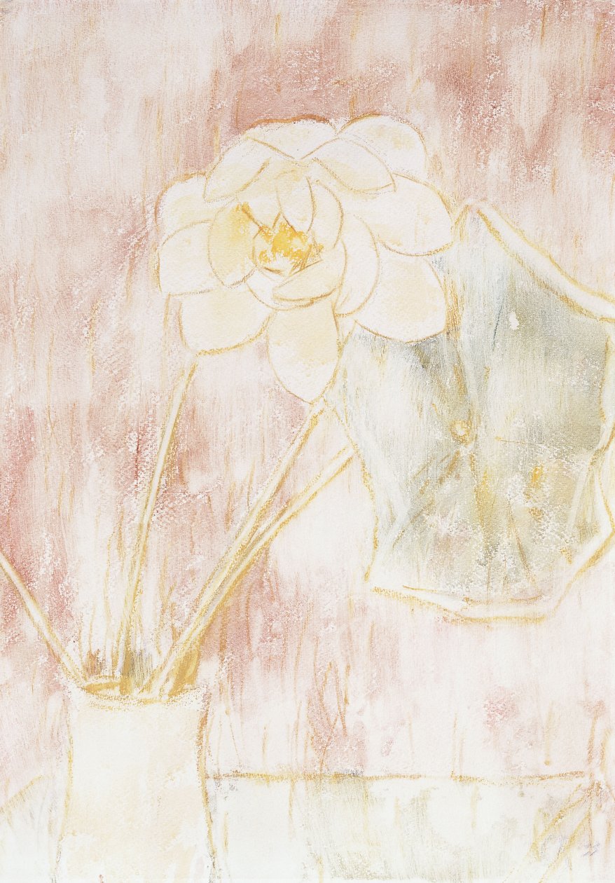 lotusblomst; Lotus blomst af Christian Rohlfs