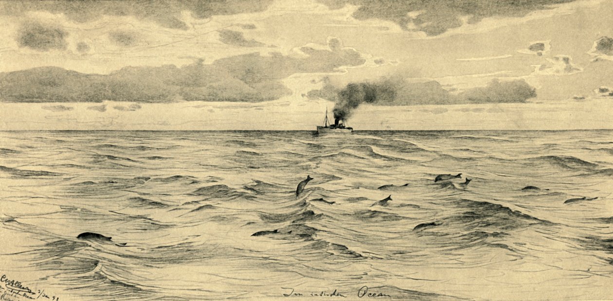 Dampskib på Det Indiske Ocean, 1898. af Christian Wilhelm Allers
