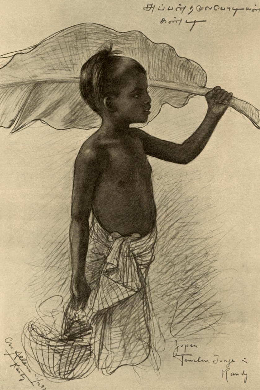 Tamilsk dreng, Kandy, Ceylon, 1898. af Christian Wilhelm Allers