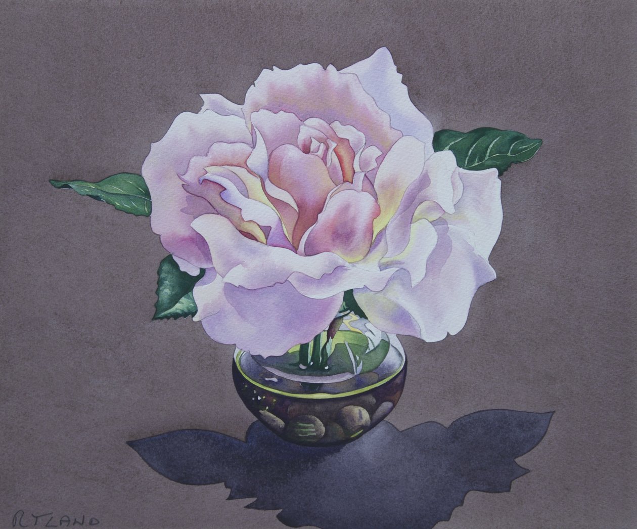 Rose Portræt af Christopher Ryland