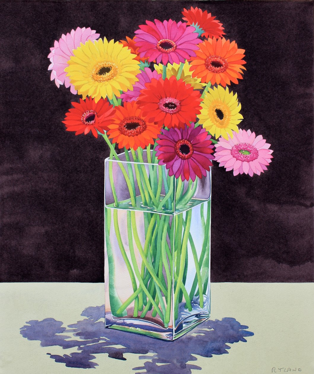 Gerbera (akvarel på papir) af Christopher Ryland