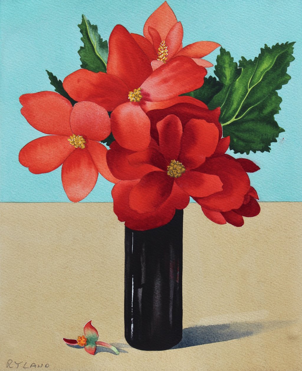 Røde Begonia (akvarel på papir) af Christopher Ryland
