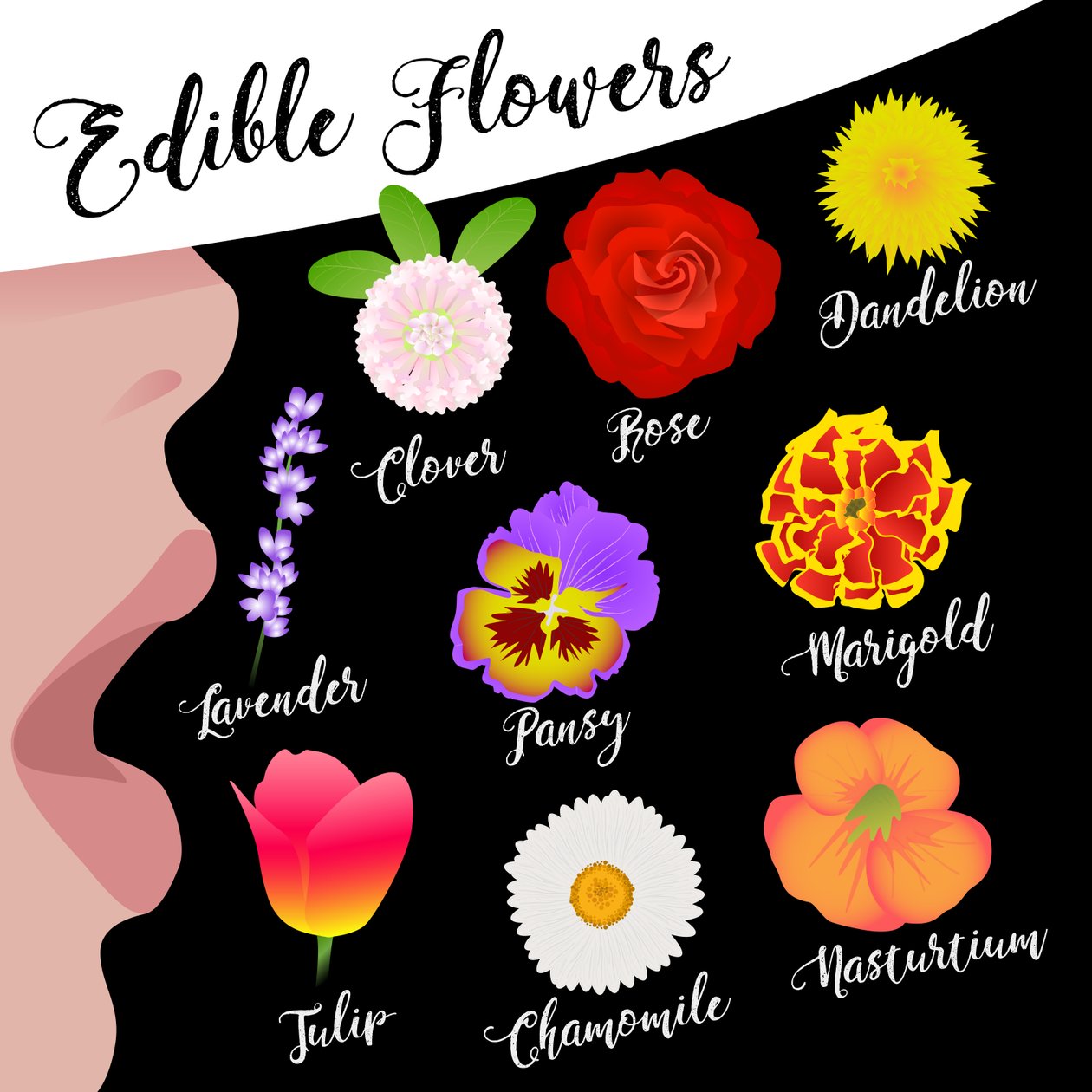 Spiselige Blomster af Claire Huntley