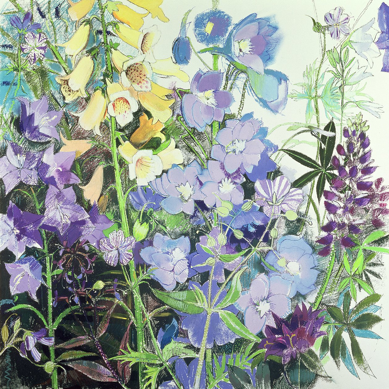 Delphiniums og Foxgloves af Claire Spencer