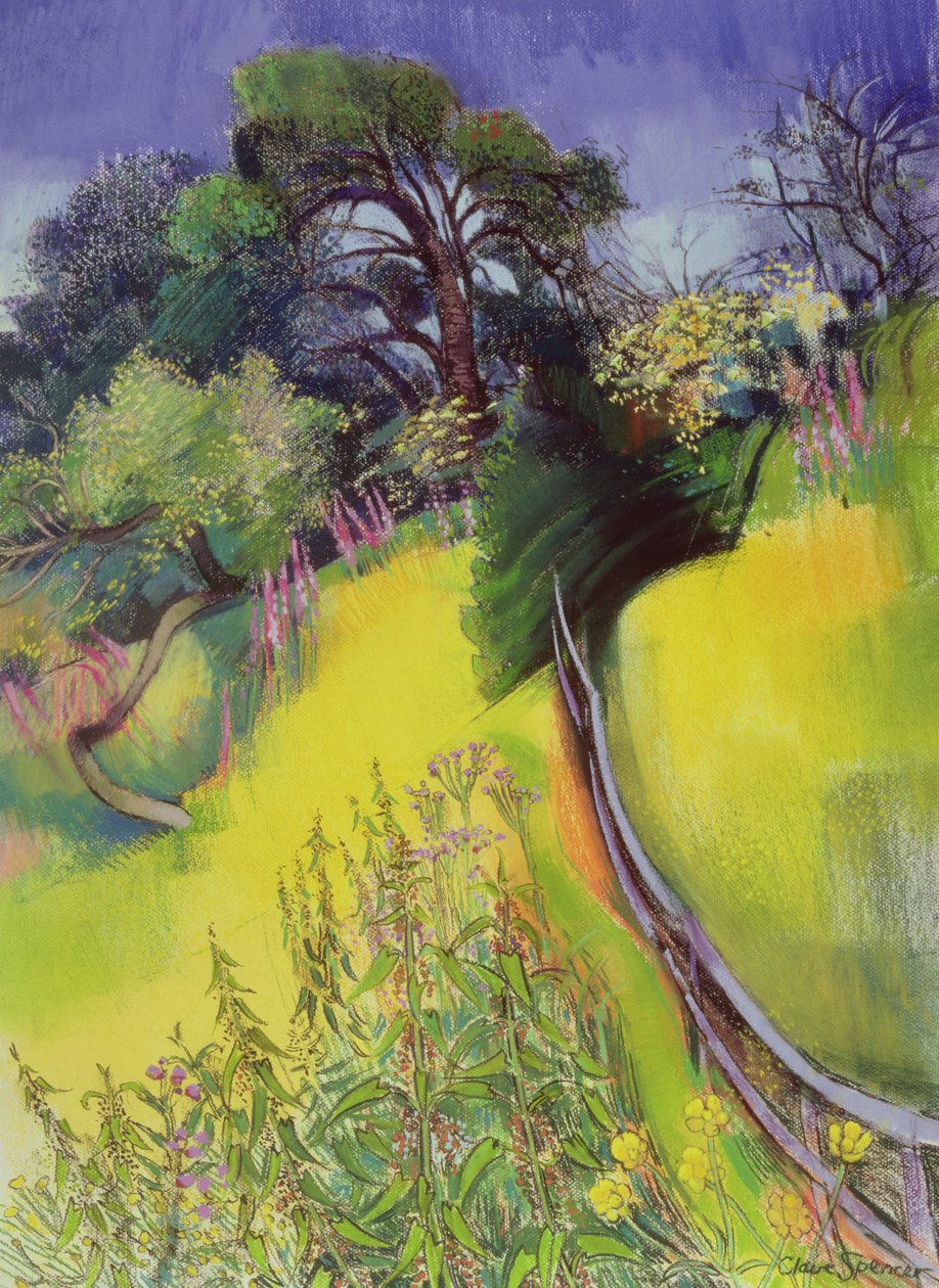 Midsommer af Claire Spencer