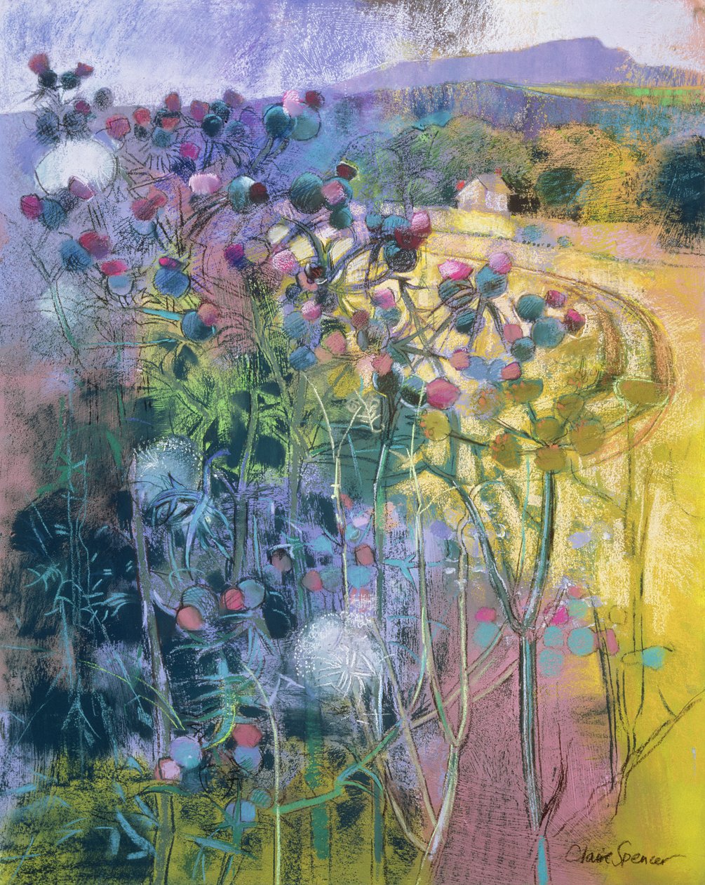 The Wild Beauty of Clee af Claire Spencer