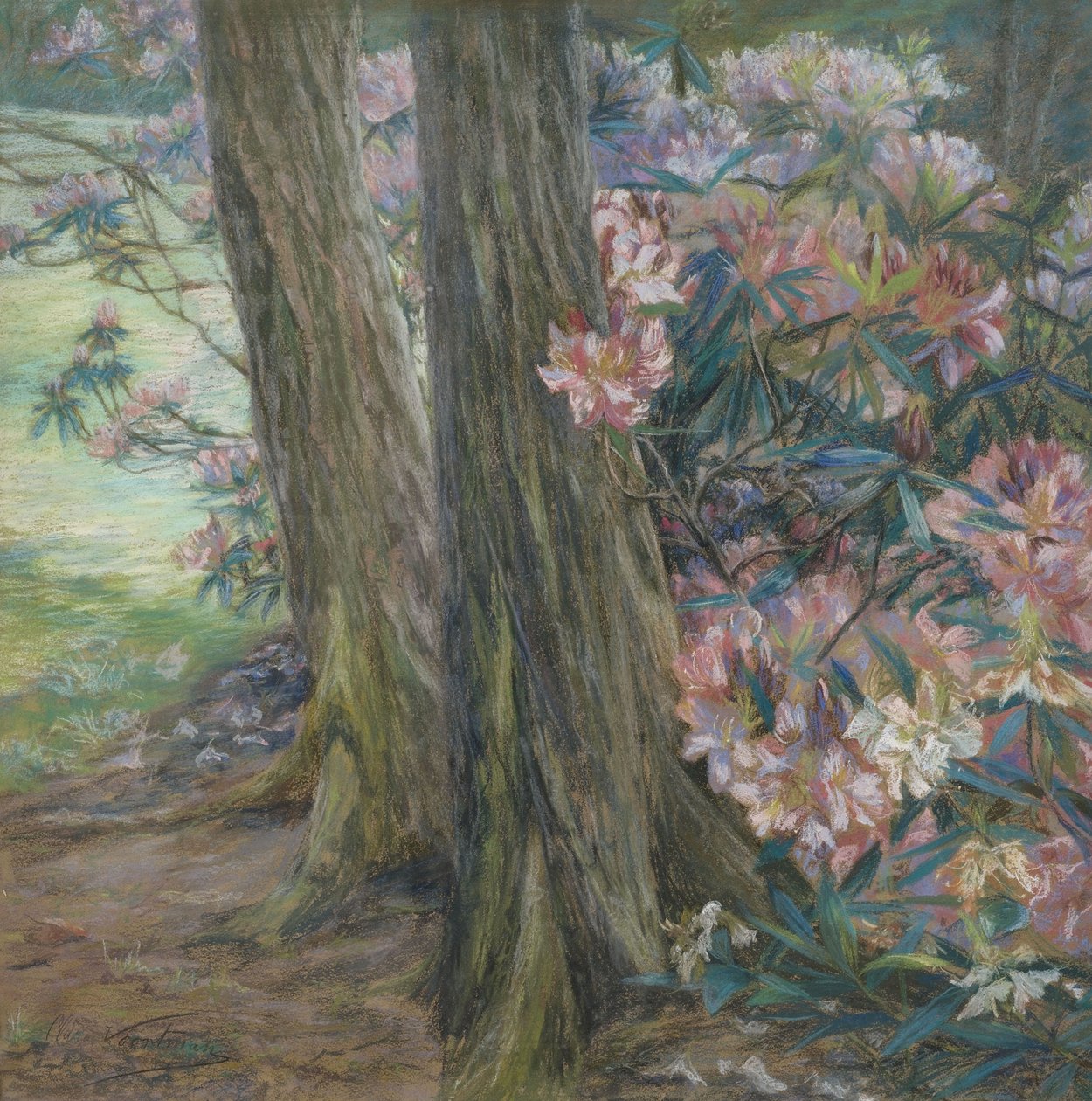 Clara Voortman Rhododendronbusch af Clara Voortman