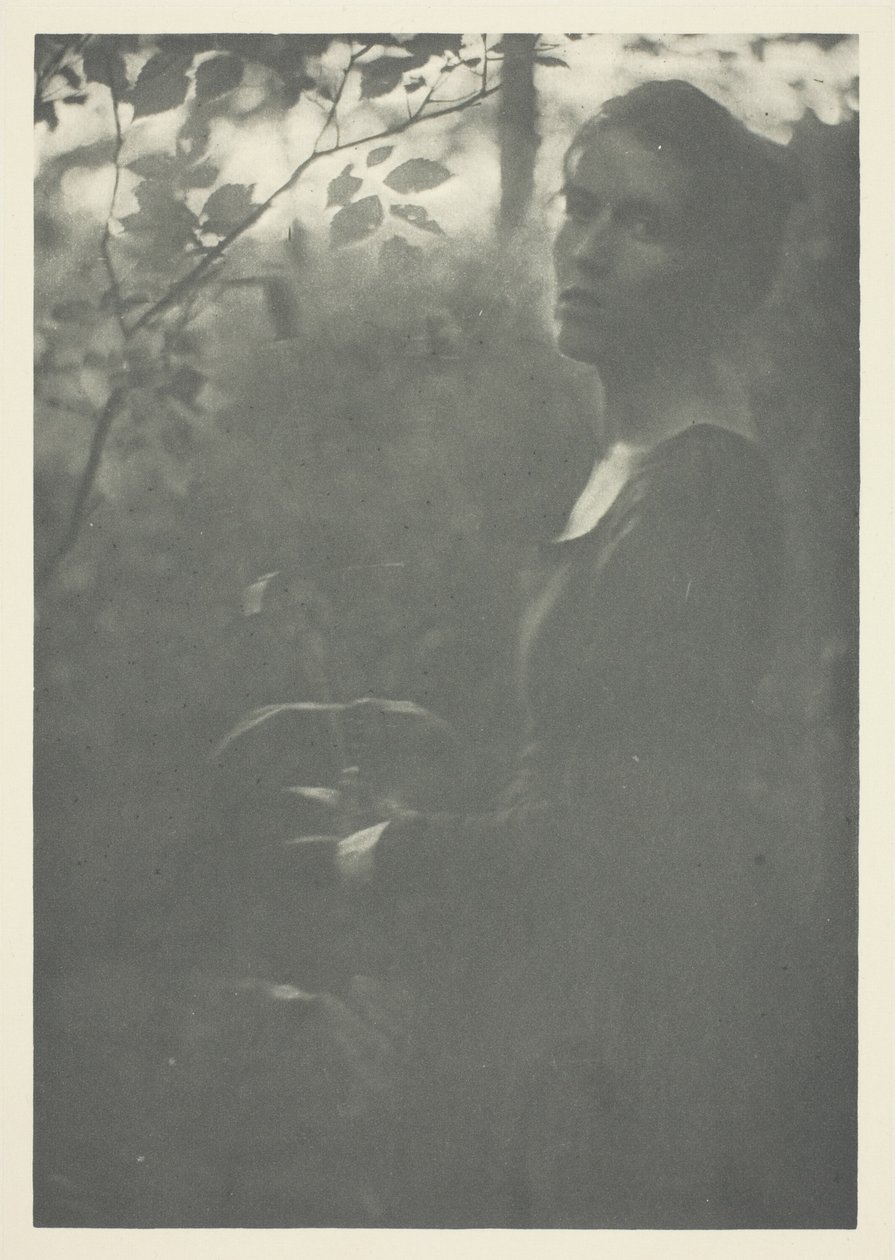 Edge of Woods af Clarence H. White
