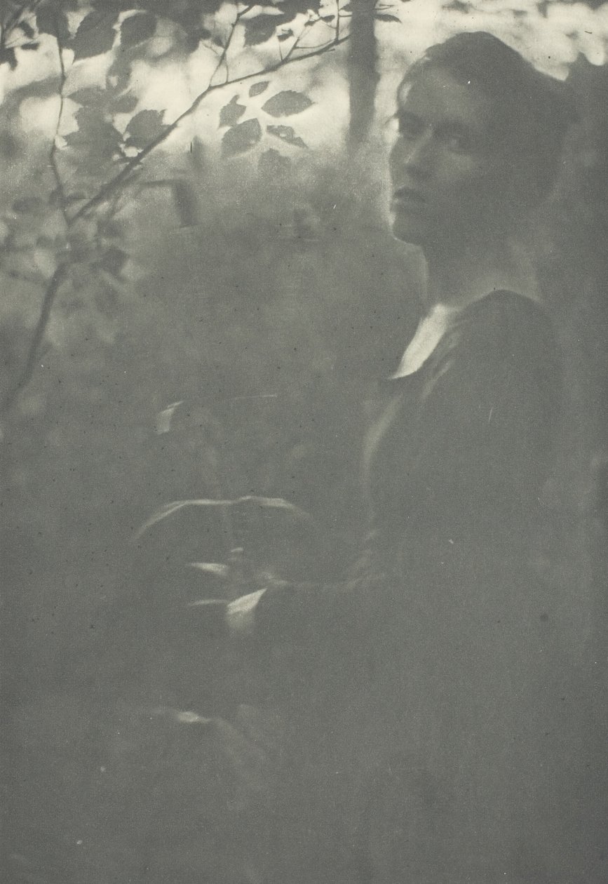 Edge of Woods, ca. 1899. af Clarence H White