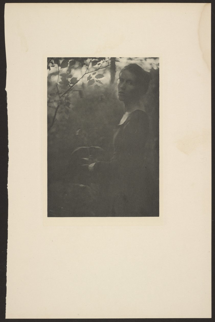 [Edge of the Woods -- Evening] af Clarence H. White