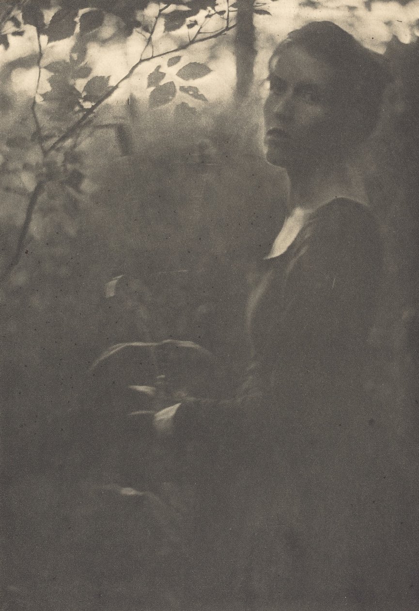 Edge of the Woods, Aften, 1900. af Clarence H White