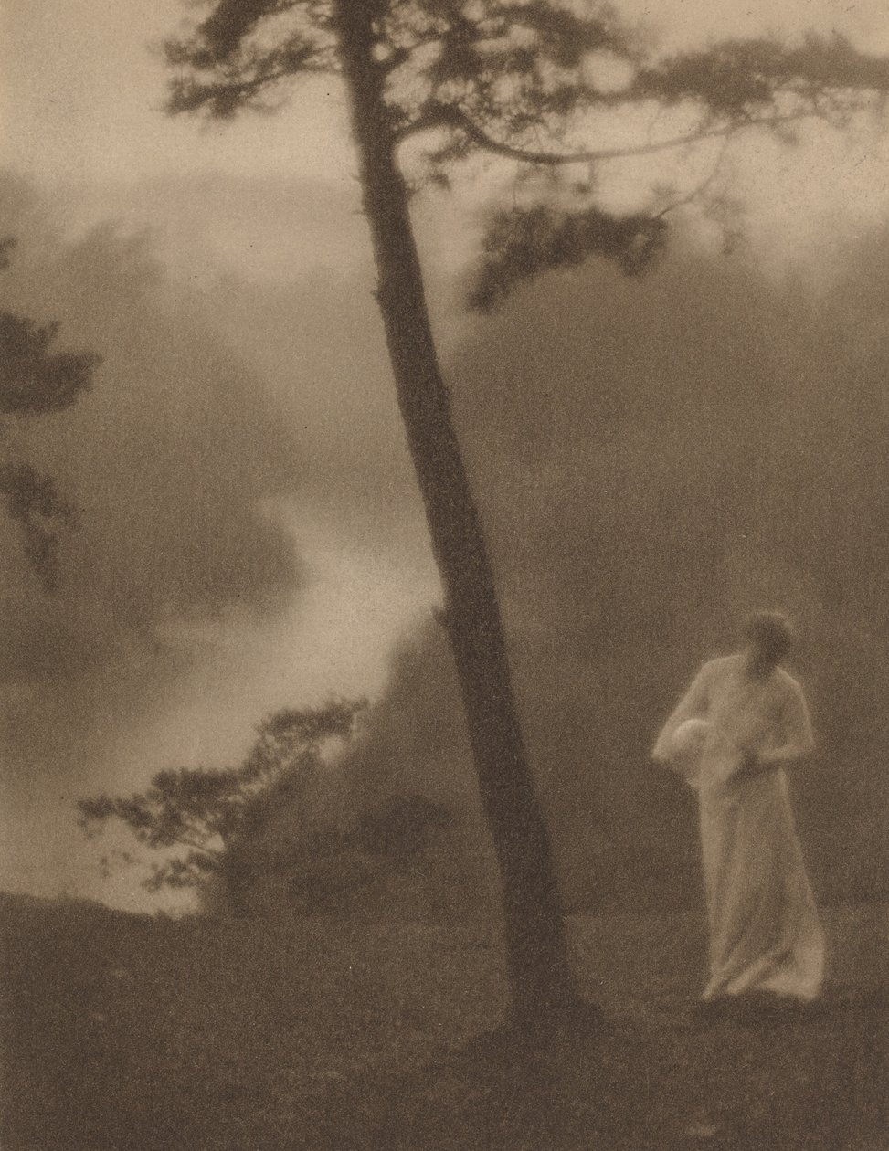 Morgen, ca. 1905. af Clarence H White