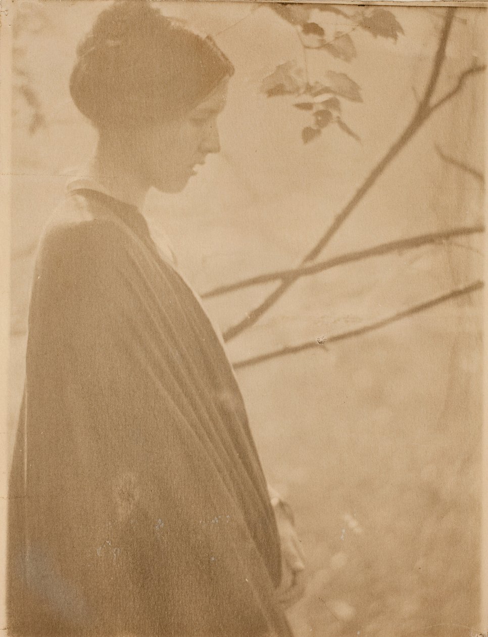 Sunlight, 1899, trykt 1901. af Clarence H White