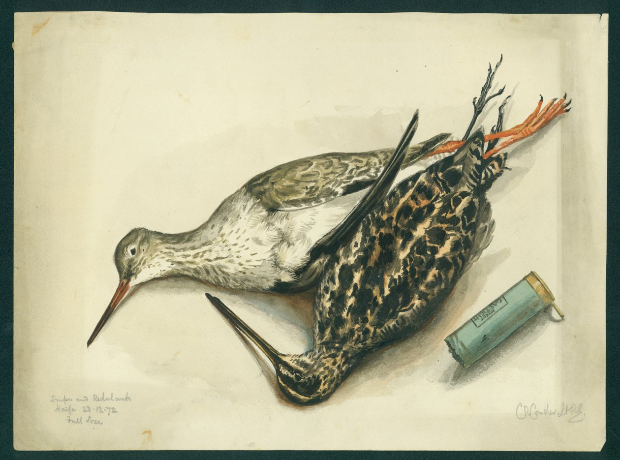 Snipe and Redshank, 1872 (wc og blyant på papir) af Claude Conder