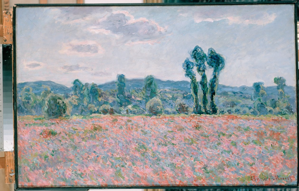 Valmue Field Polski: Pole makow af Claude Monet