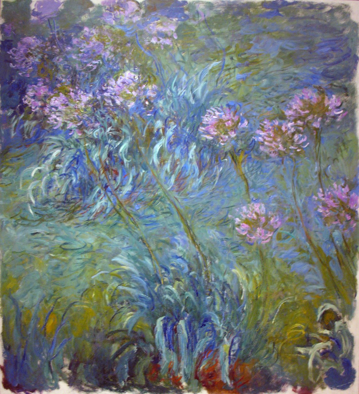 Agapanthus af Claude Monet