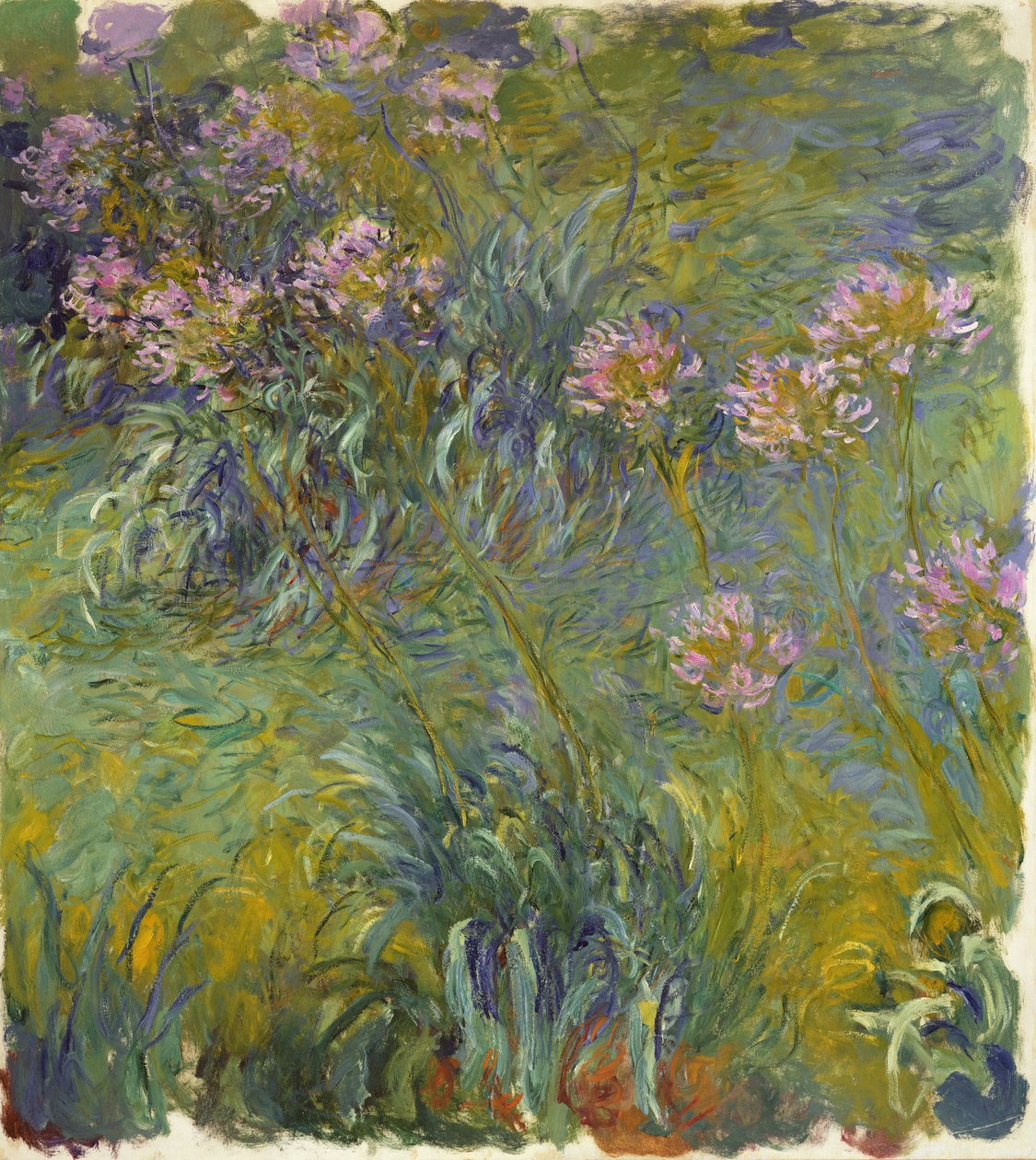 Agapanthus, 1914-26 af Claude Monet