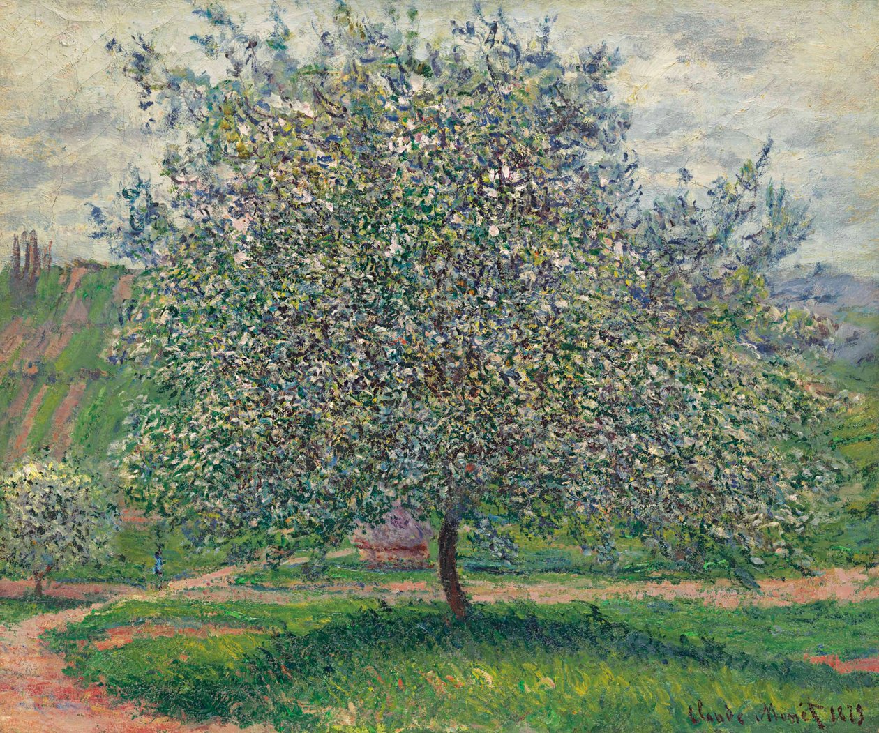 Æbletræet af Claude Monet