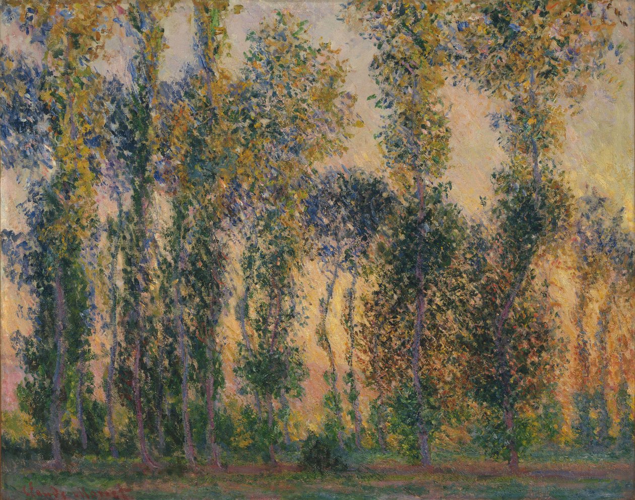 Popler i Giverny, solopgang af Claude Monet