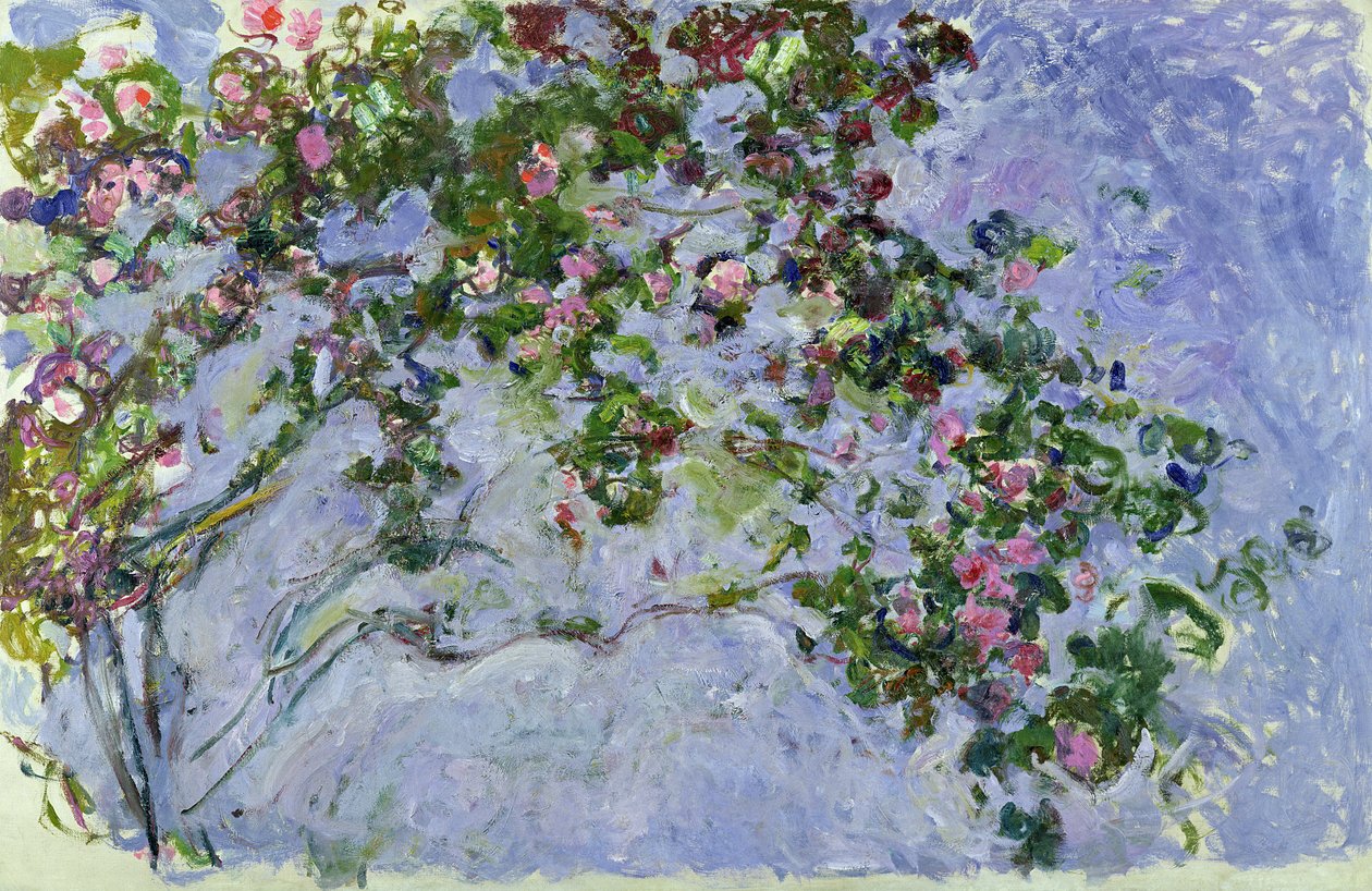 Roserne, 1925-26 af Claude Monet