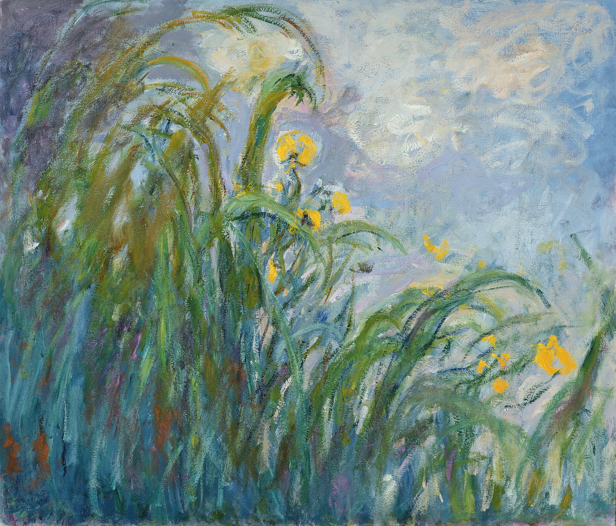 Den gule iris (se detaljer 414406) af Claude Monet