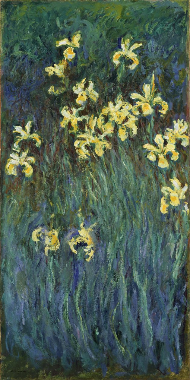 Gule iris af Claude Monet