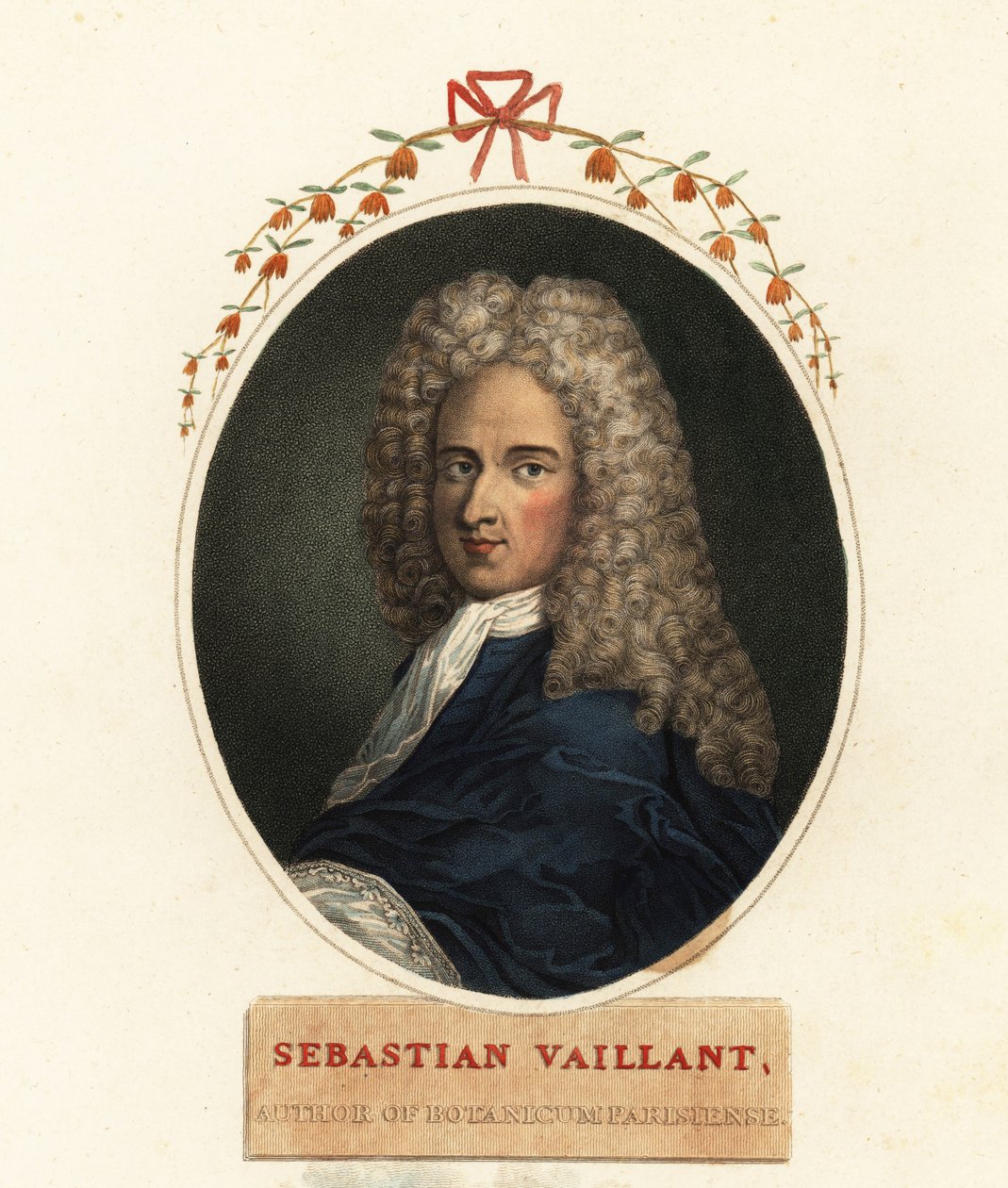 Portræt af Sebastian Vaillant, fransk botaniker af Claude Aubriet