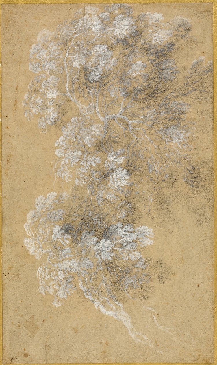 Skitse af løv og grene af Claude Lorrain