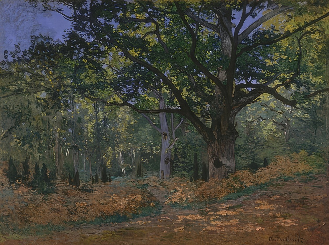 Bodmer eg i skoven Fontainebleau. 1865 af Claude Monet
