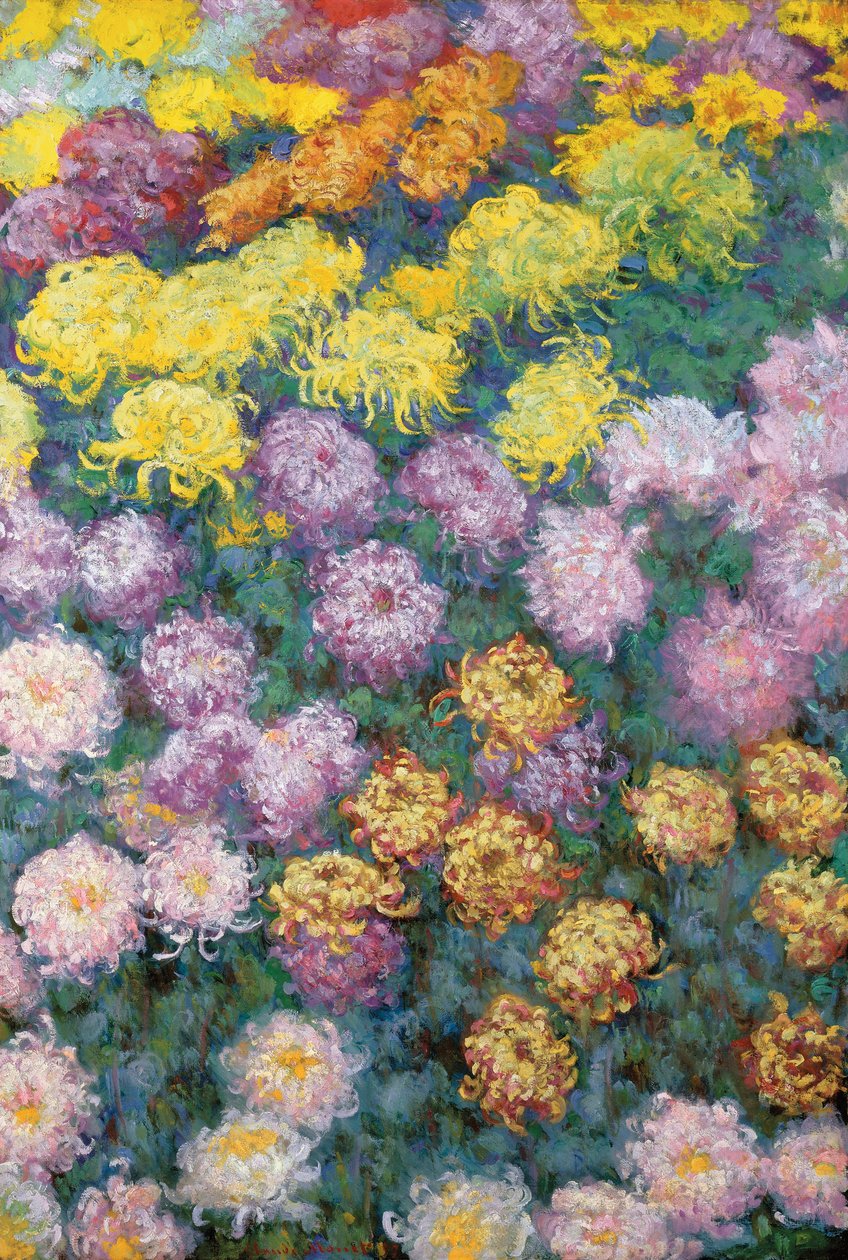 Massif de Chrysanthemes af Claude Monet