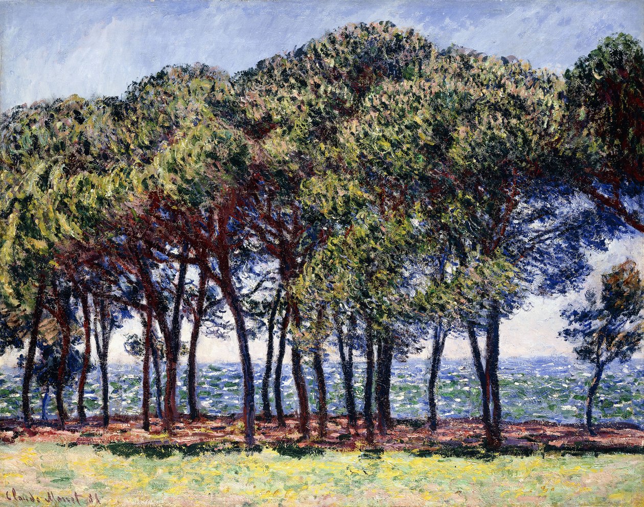 Pines, Cap d"Antibes, 1888 af Claude Monet