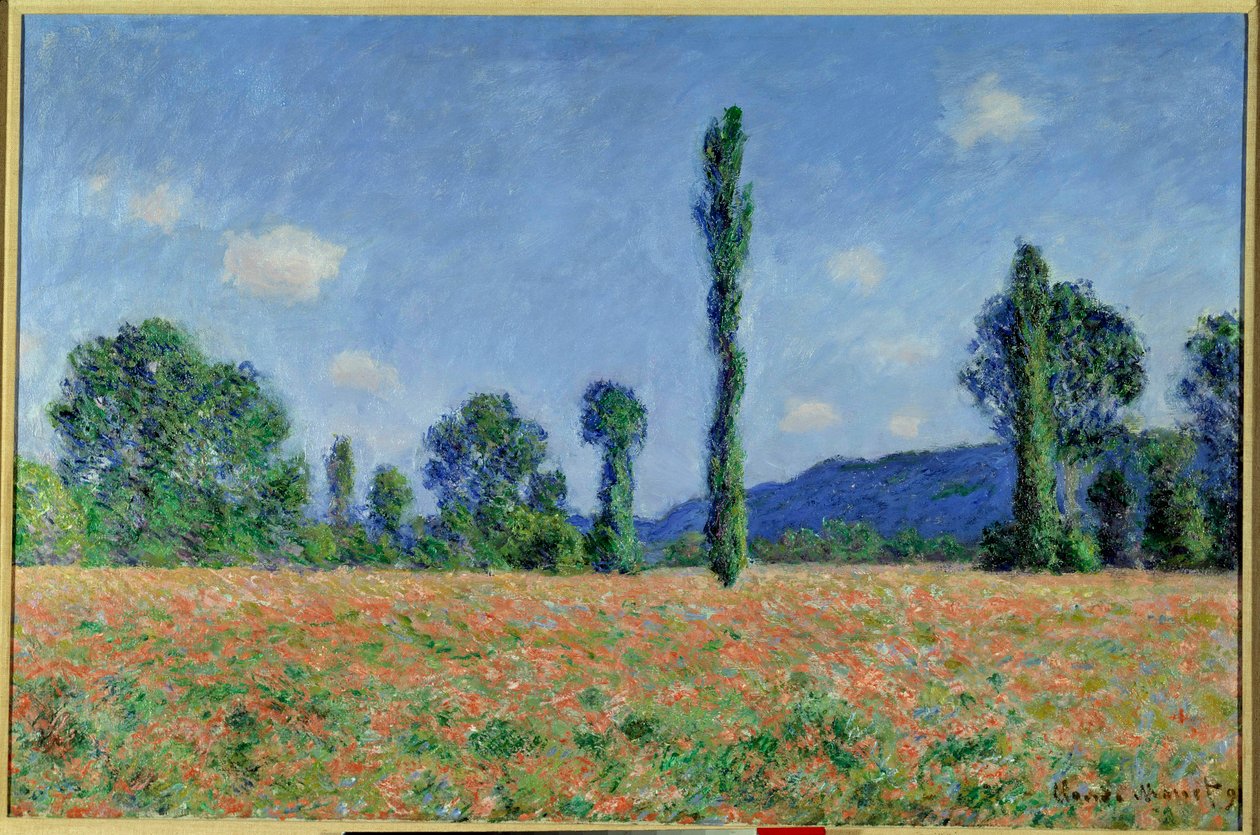Poppy Field, 1890 (olie på lærred) af Claude Monet
