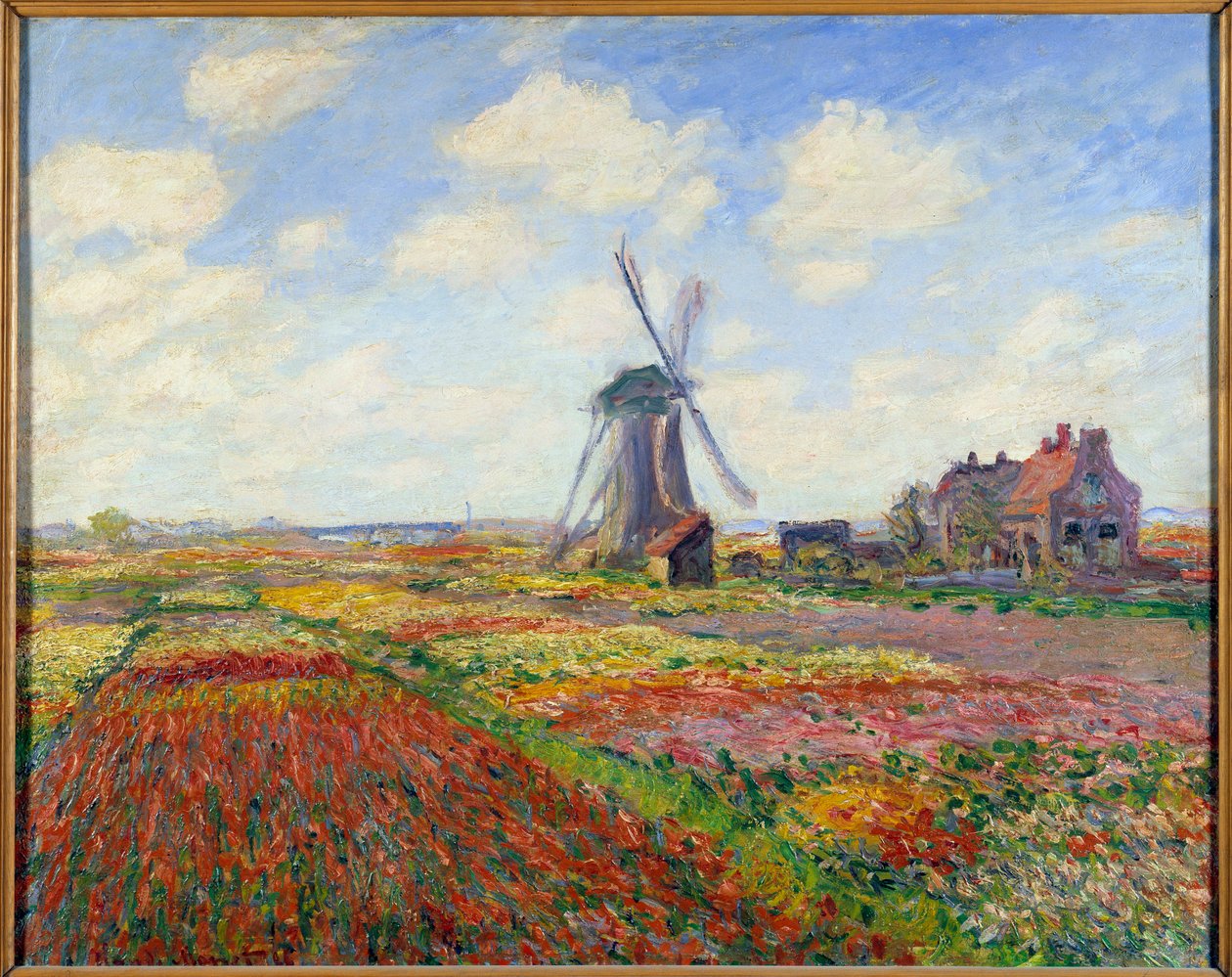 Tulip Fields i Holland (med en vindmølle) af Claude Monet