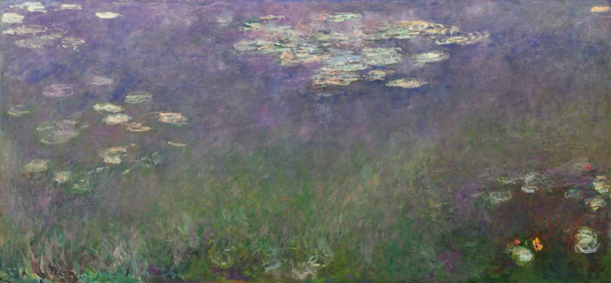 Åkander (Agapanthus) af Claude Monet