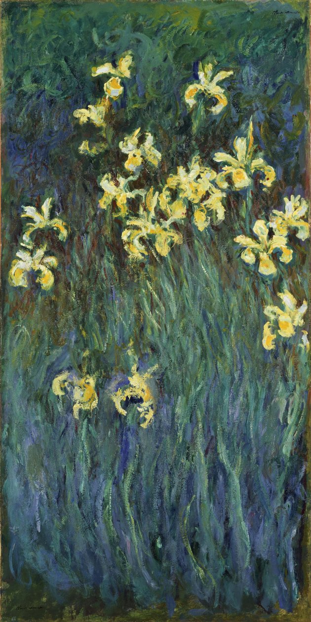 Gule iris, 1914-1917 af Claude Monet