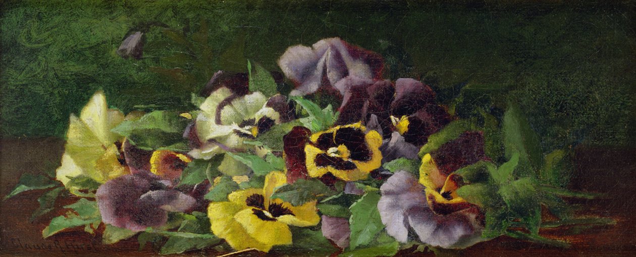 Stedmoderblomster (olie på lærred) af Claude Raguet Hirst