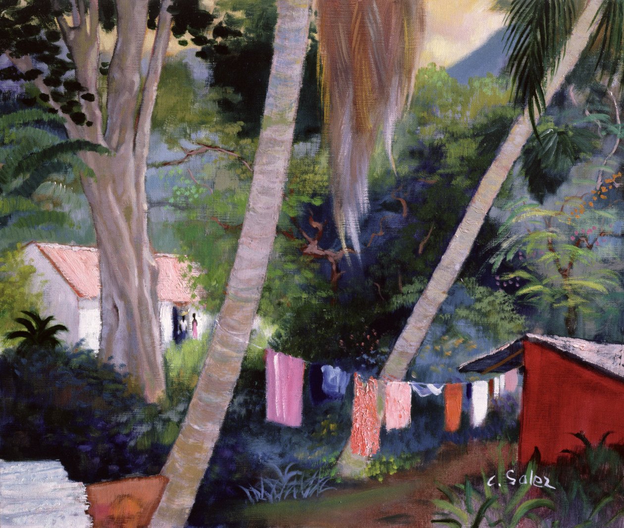 Tørrevask, Guadeloupe af Claude Salez