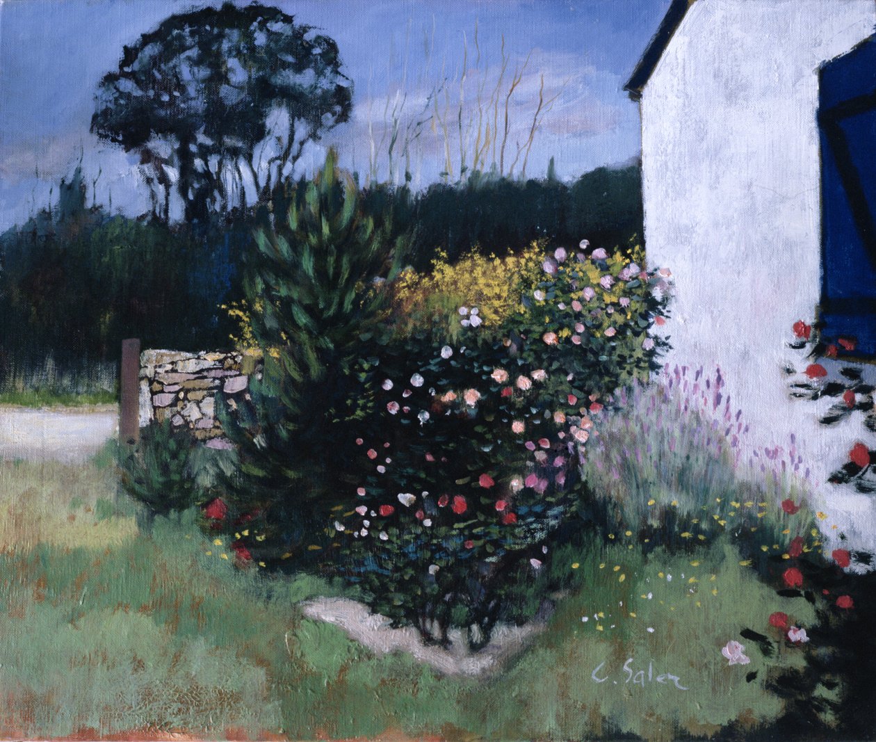 Rosebusken af Claude Salez