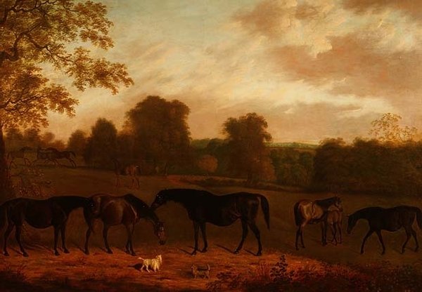 Hopper og Føl af Clifton Tomson