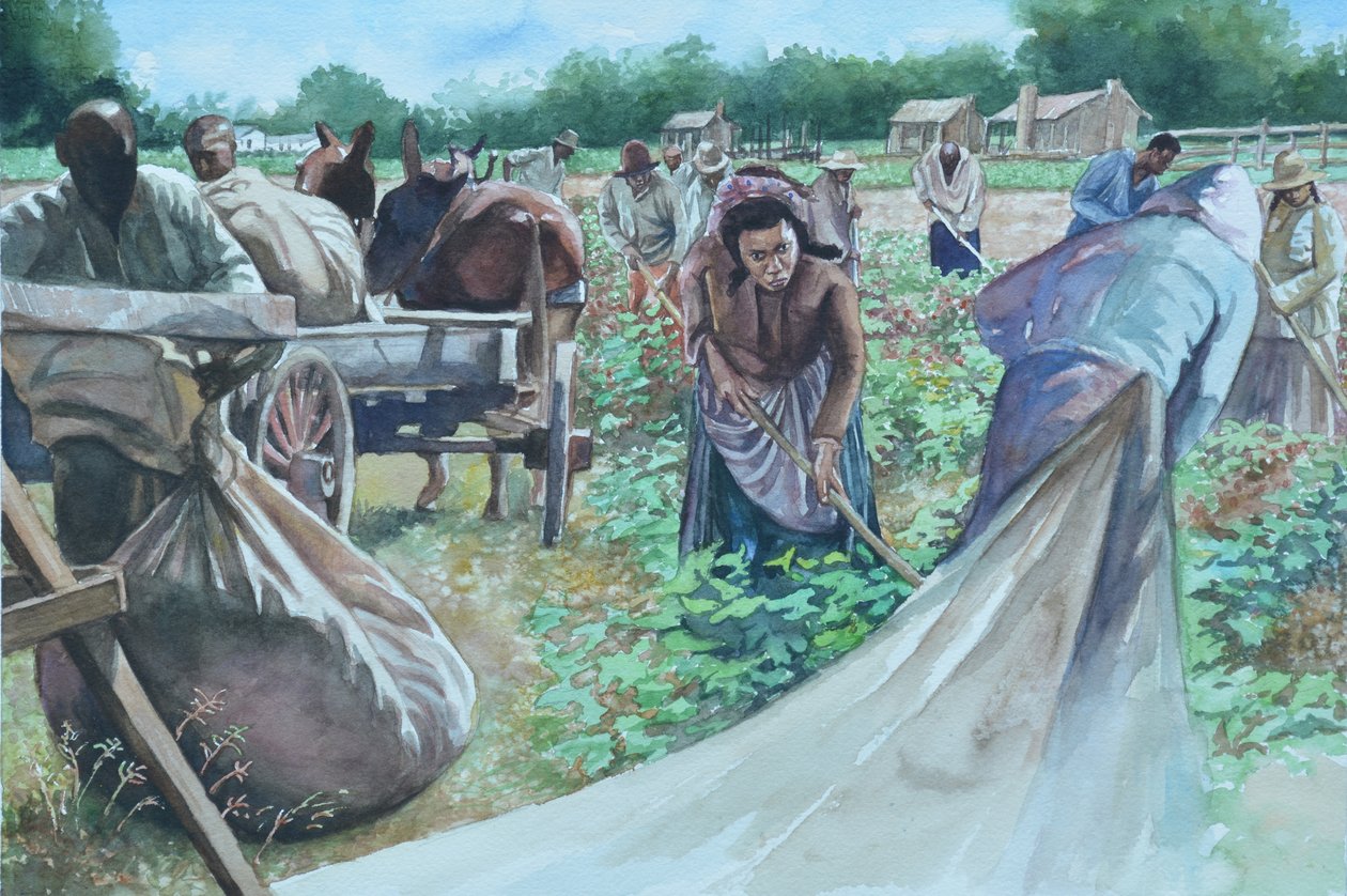 Backbreaking, 2010 af Colin Bootman