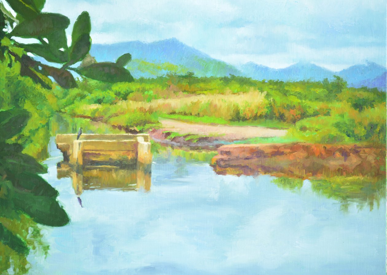 Refleksioner, 2017 af Colin Bootman