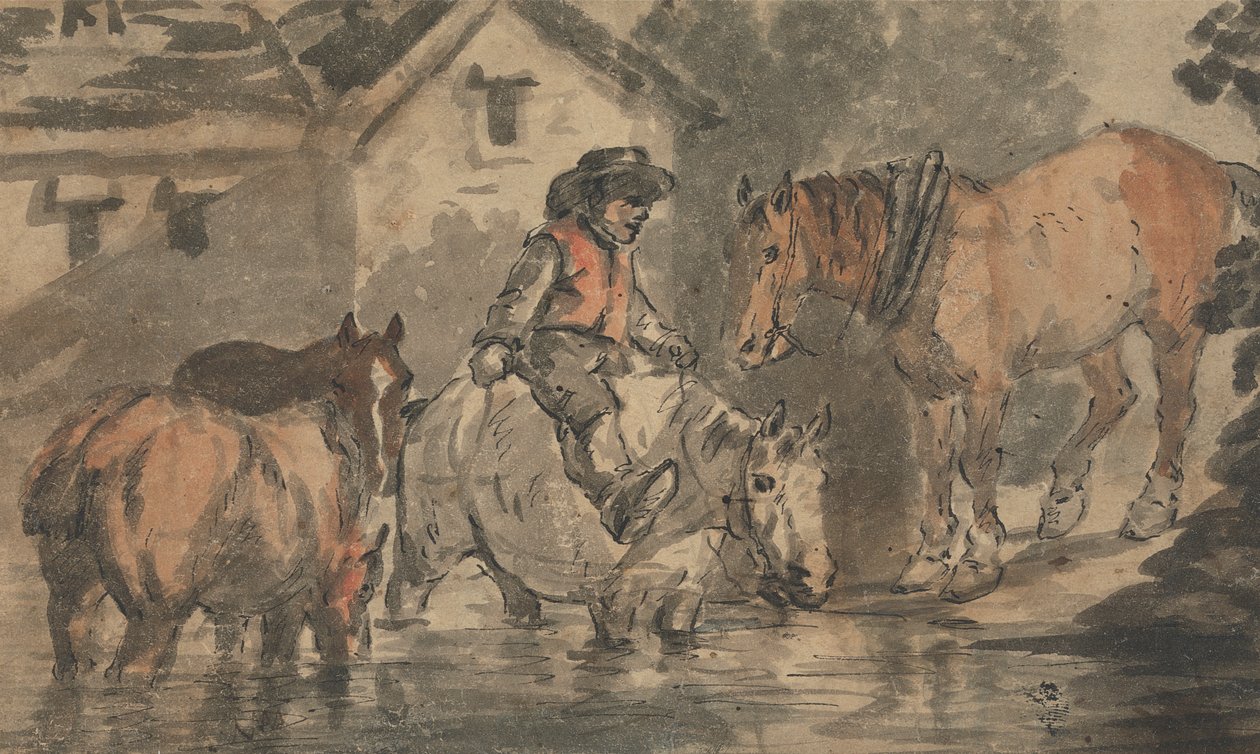 Mand vander fire heste af Conrad Gessner