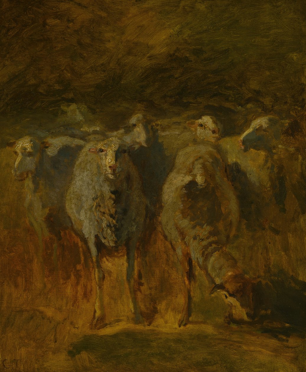 Uafsluttet undersøgelse af får, ca. 1850. af Constant Troyon