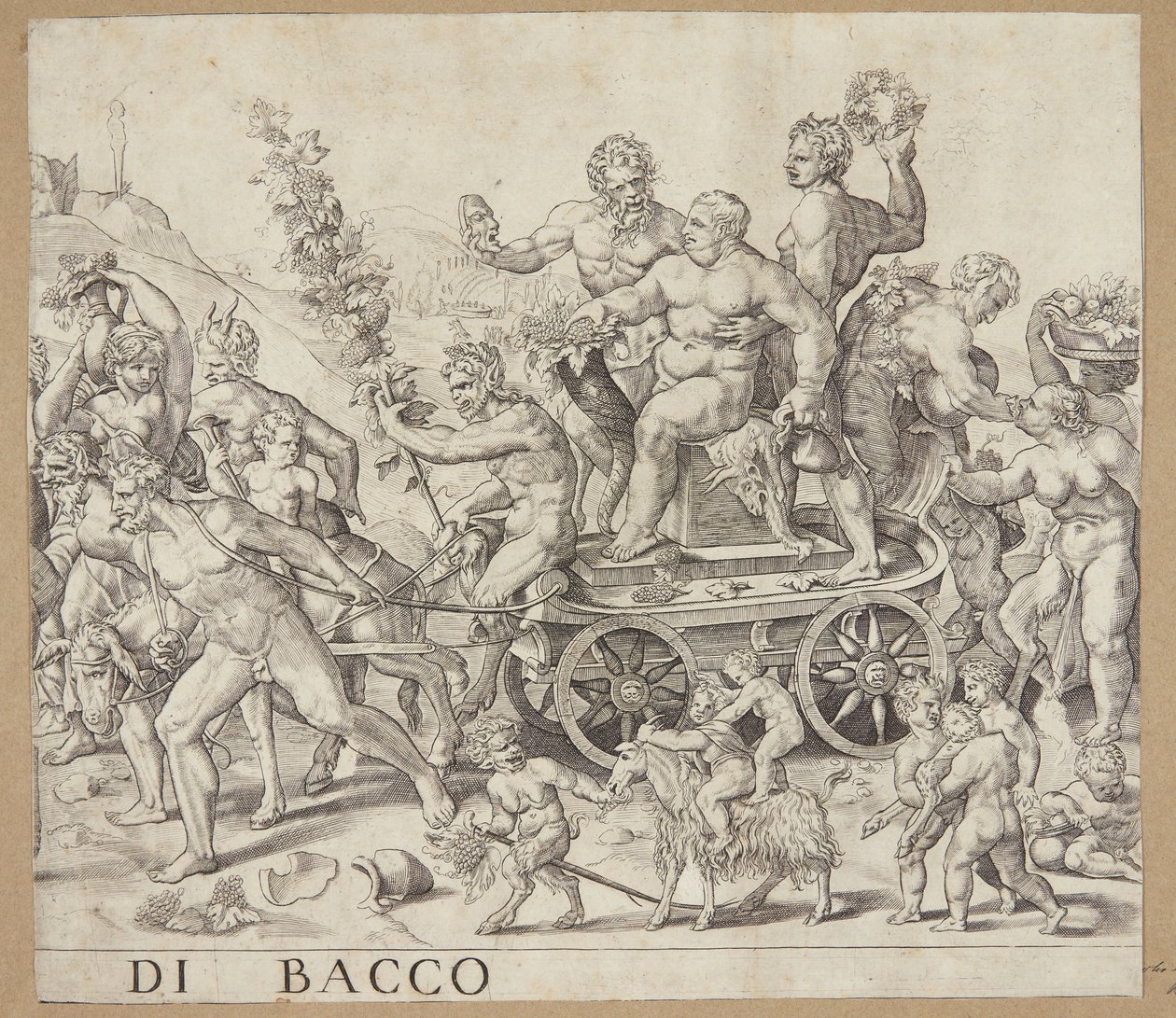 Bacchus
