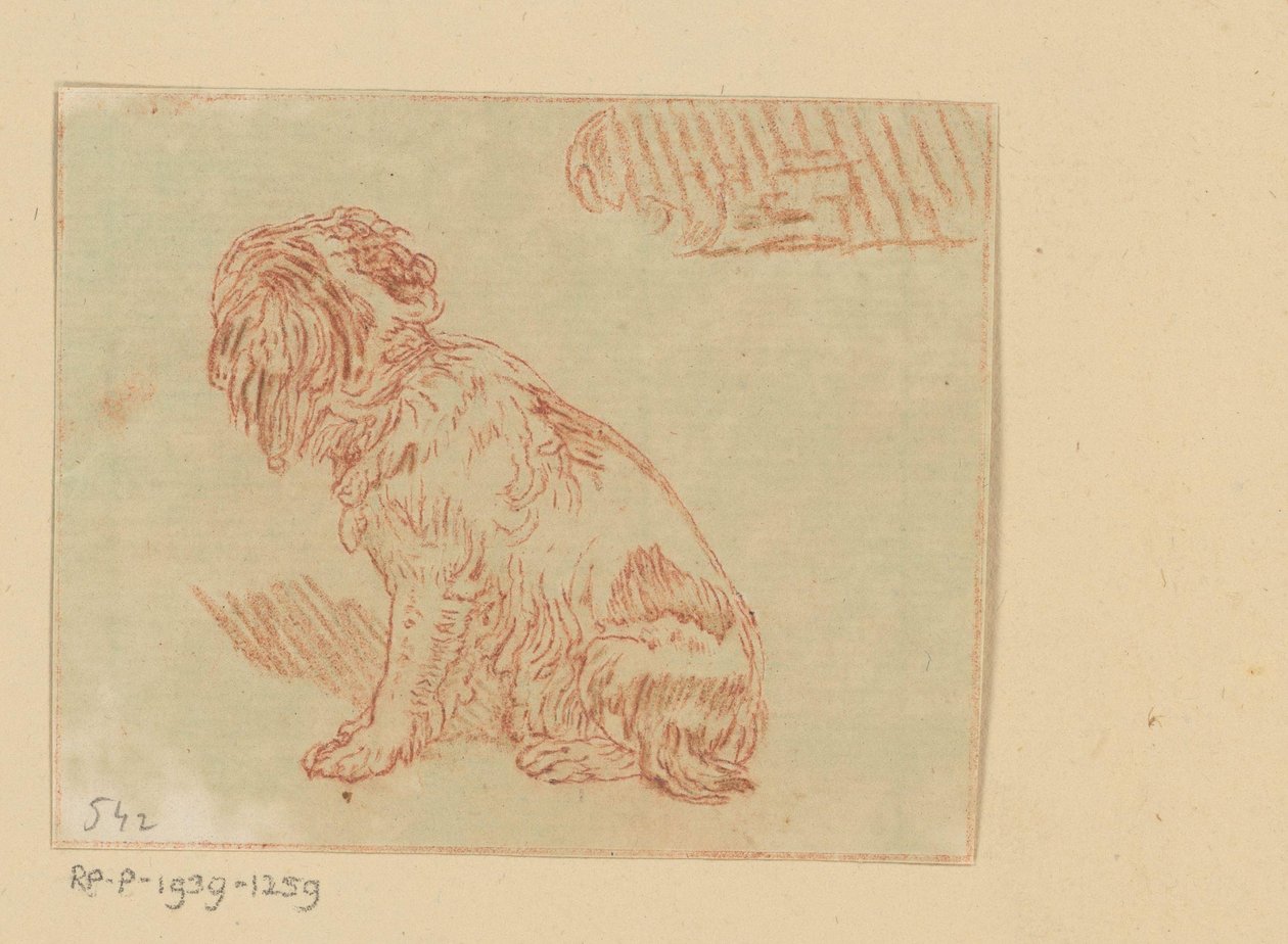 siddende hund af Cornelis Brouwer (possibly)