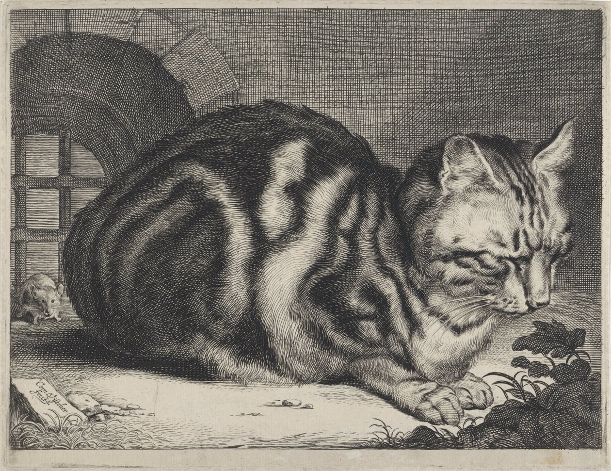Den store kat af Cornelis Visscher (II)