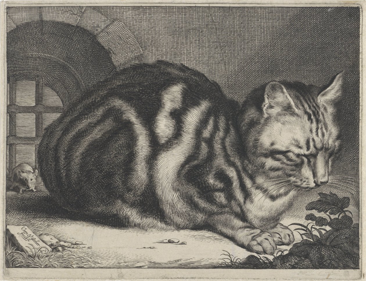 Den store kat af Cornelis Visscher (II)