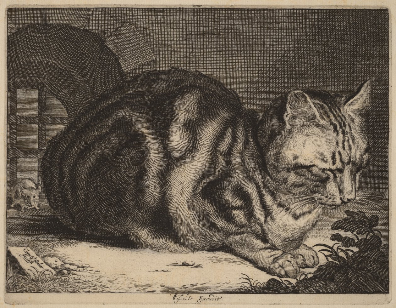 Den store kat af Cornelis Visscher