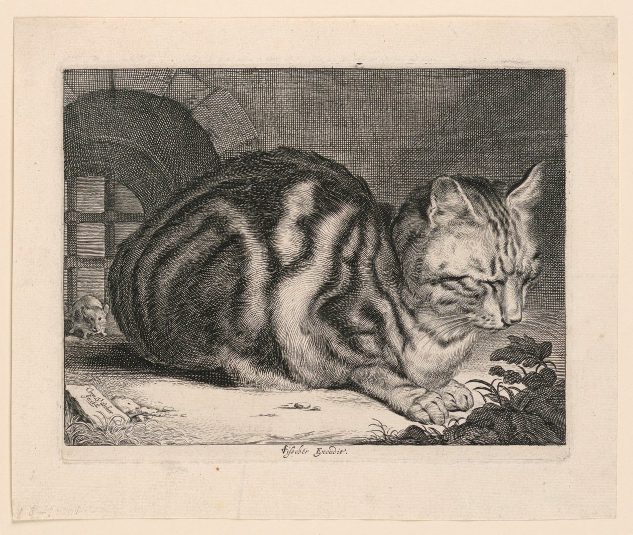 Den store kat af Cornelis Visscher