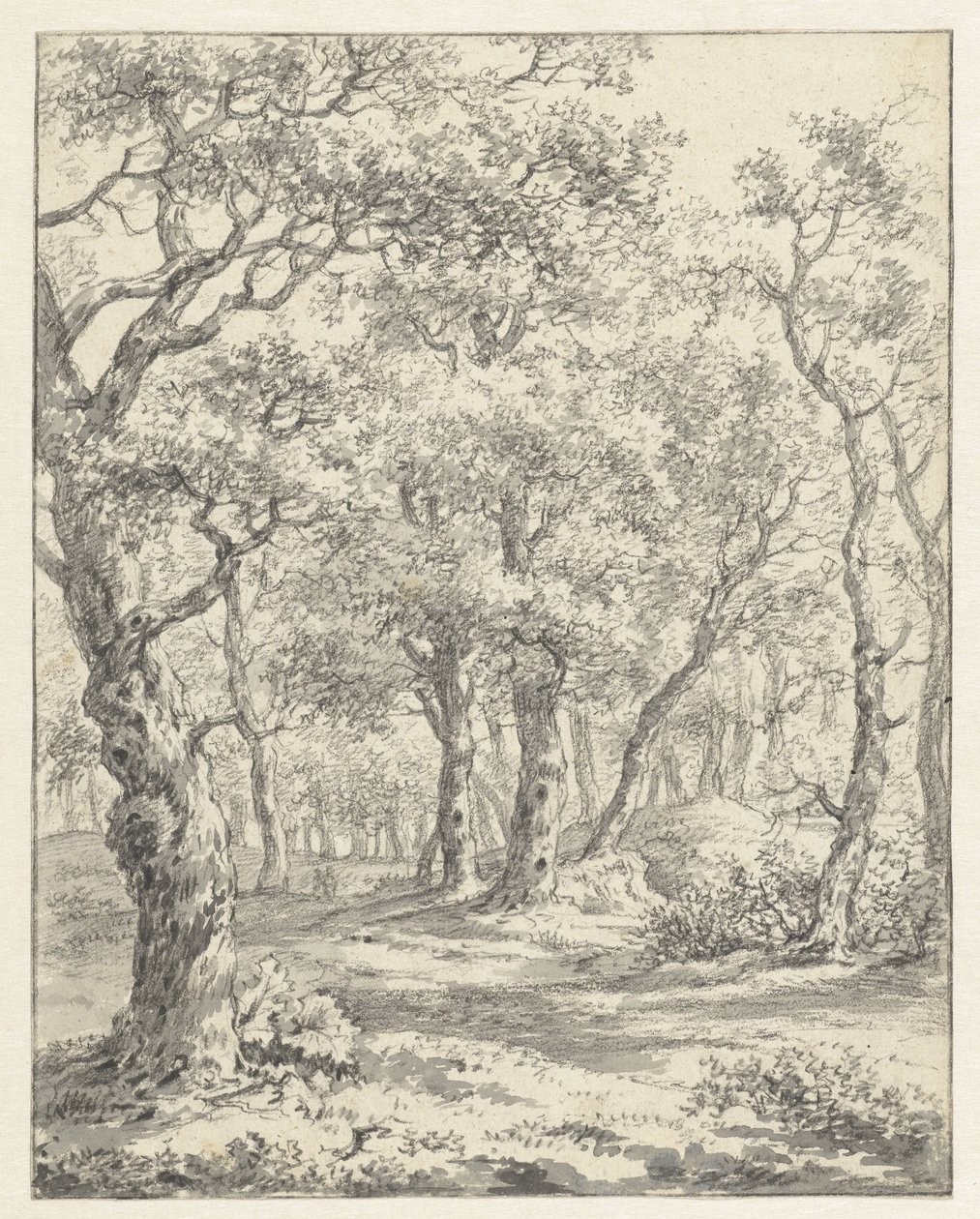 skovlandskab af Couwenhoven